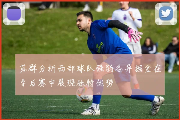 苏群分析西部球队强弱各异掘金在季后赛中展现独特优势