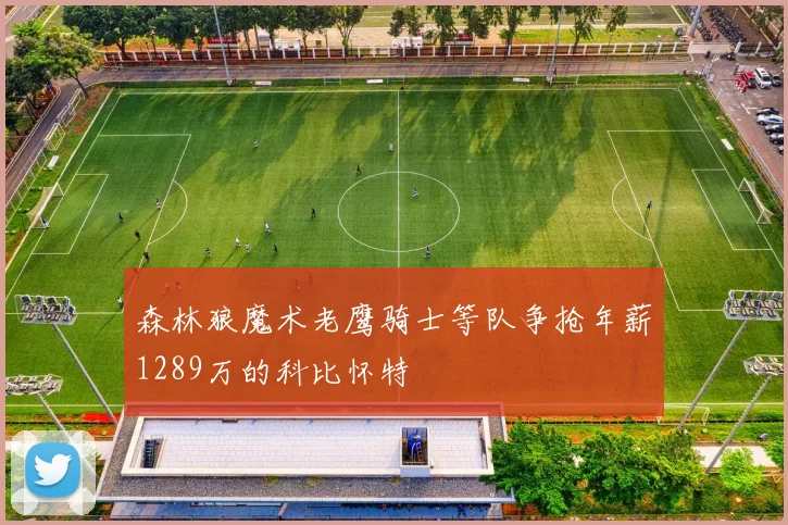 森林狼魔术老鹰骑士等队争抢年薪1289万的科比怀特