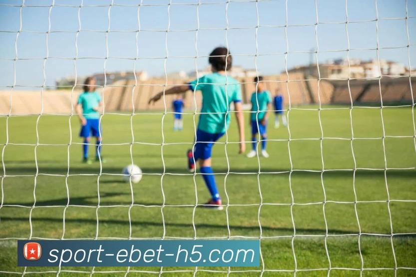 易倍体育发展历程